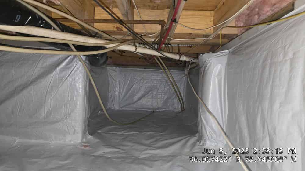 Professional Mold Removal & Remediation image
