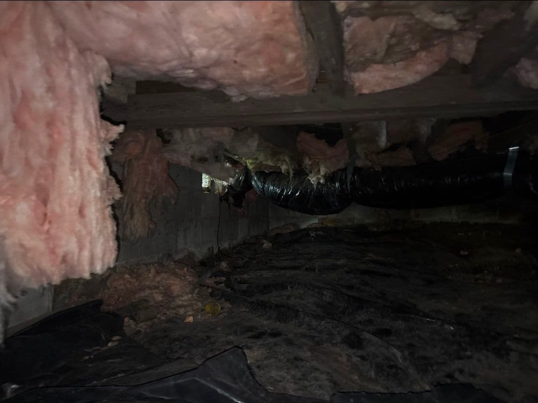 Gallery photos for Crawl Space Gets New Vapor Barrier After Fungus and Failed Insulation: Image #1