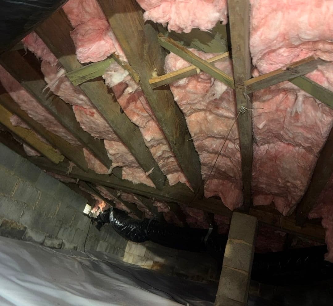 Gallery photos for Crawl Space Gets New Vapor Barrier After Fungus and Failed Insulation: Image #2
