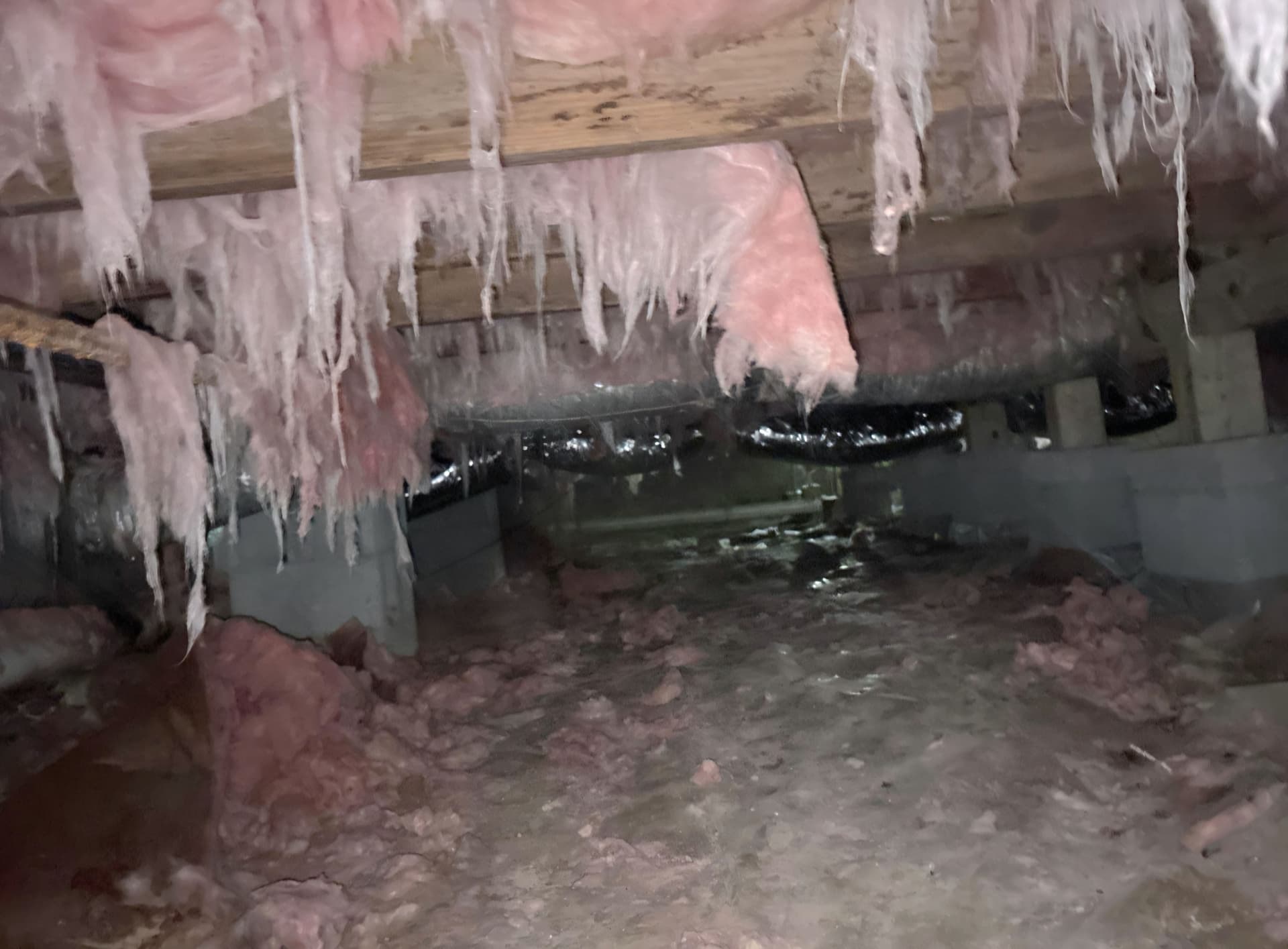 Gallery photos for What Crawl Space Moisture Damage Actually Looks Like: Image #1