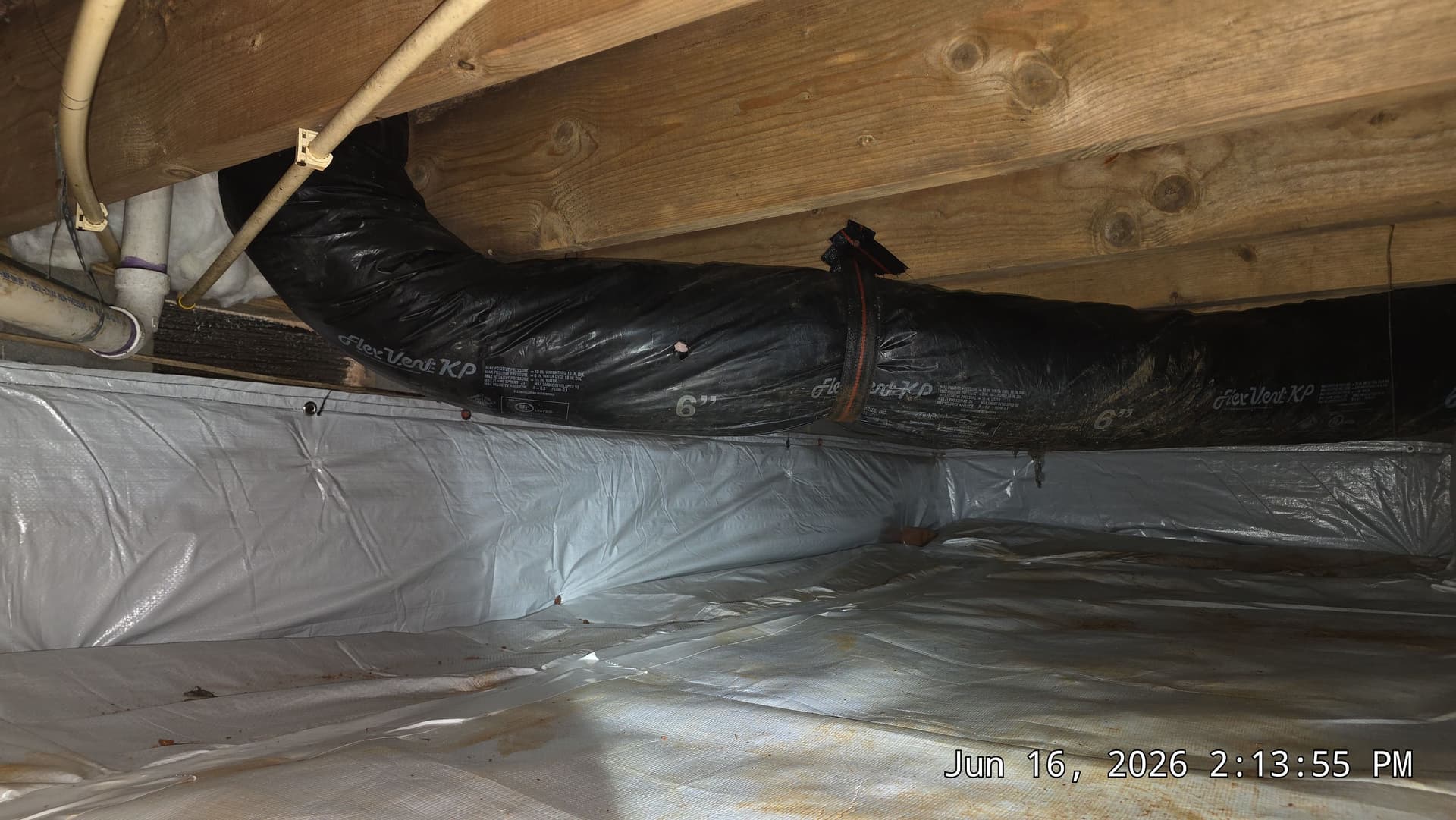 Crawl Space Encapsulation with Fungus Removal in Raleigh image