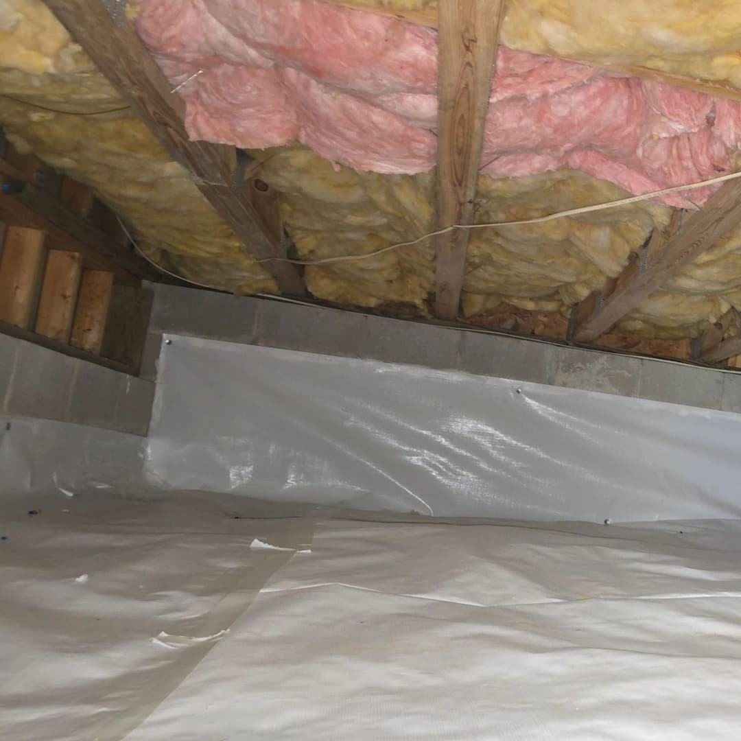 Attic insulation installation with pink fiberglass and white vapor barrier covering.