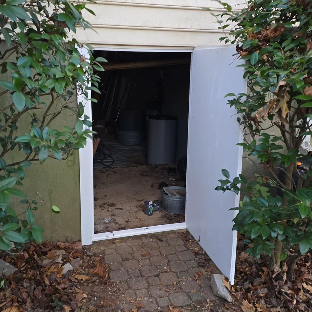 White door open to a basement with exposed beams, buckets, and tools surrounded by greenery.