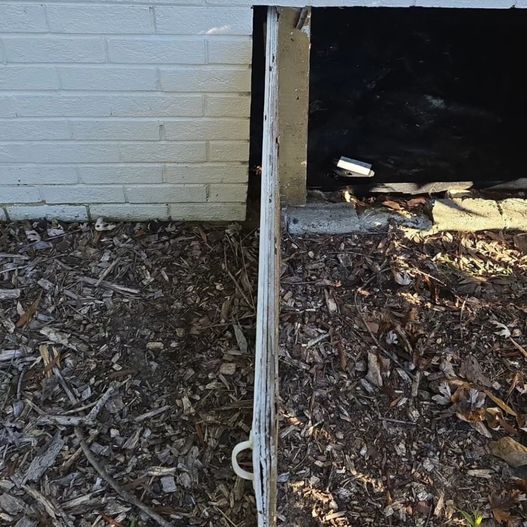 Horizontal pipe along a foundation wall with mulch and vegetation, showing potential drainage issue.