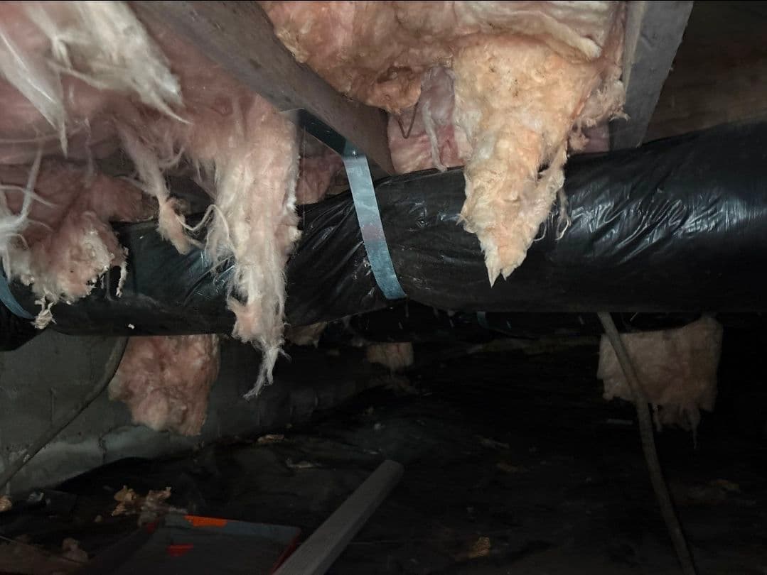 Crawl Space Gets New Vapor Barrier After Fungus and Failed Insulation image