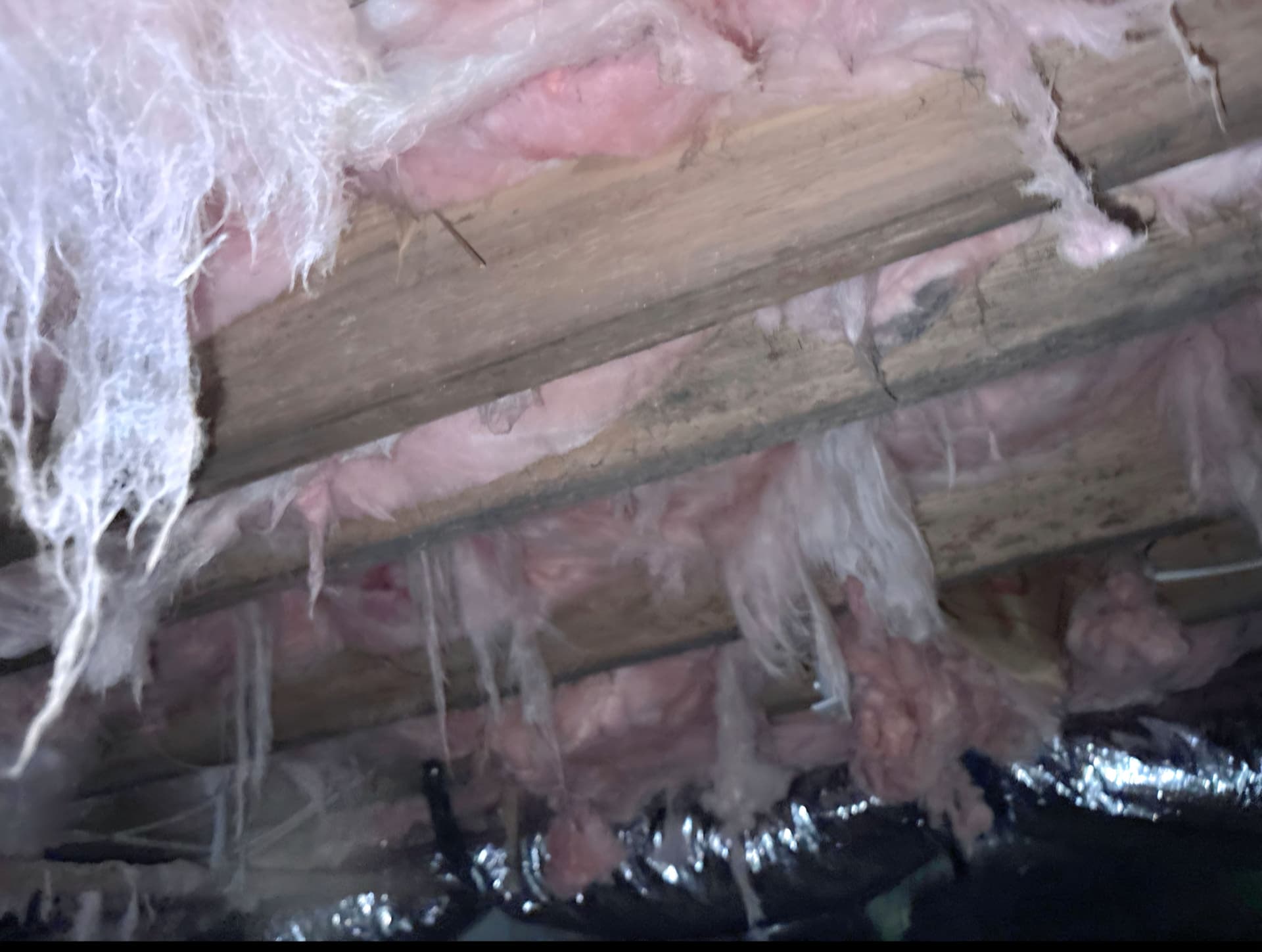 Gallery photos for What Crawl Space Moisture Damage Actually Looks Like: Image #2