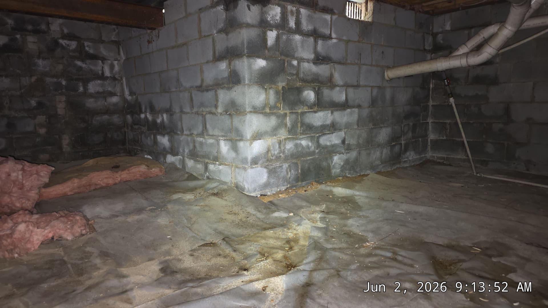 Gallery photos for What Crawl Space Moisture Really Looks Like Before It Gets Worse: Image #2