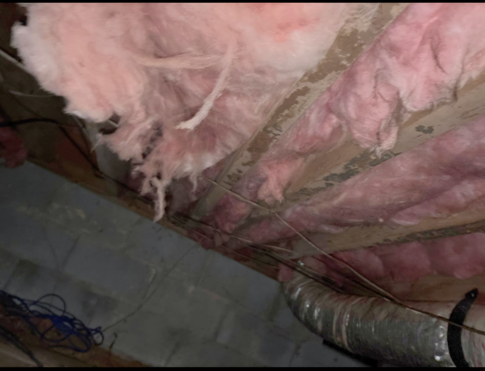 Gallery photos for What Crawl Space Moisture Damage Actually Looks Like: Image #3
