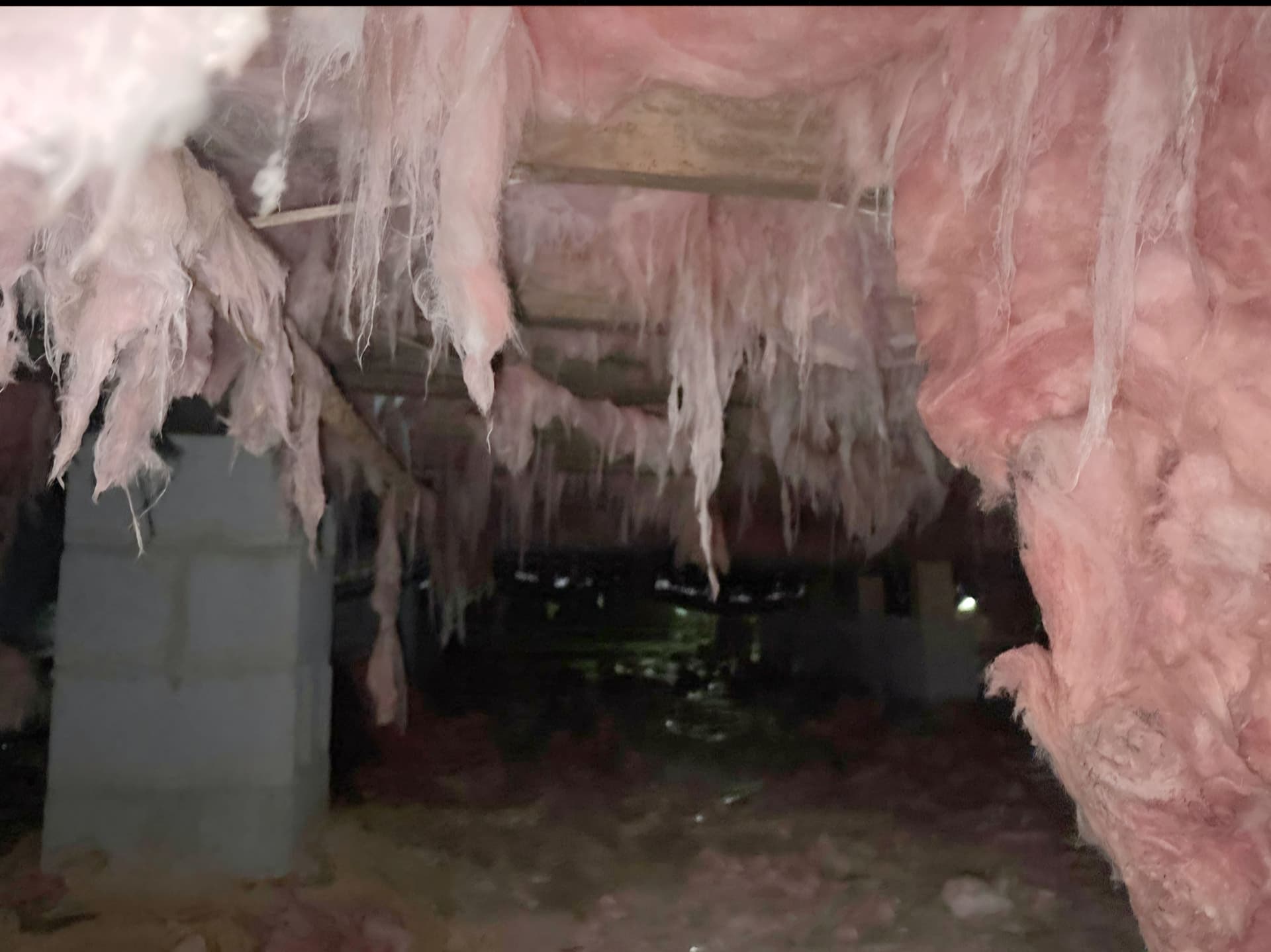 What Crawl Space Moisture Damage Actually Looks Like image
