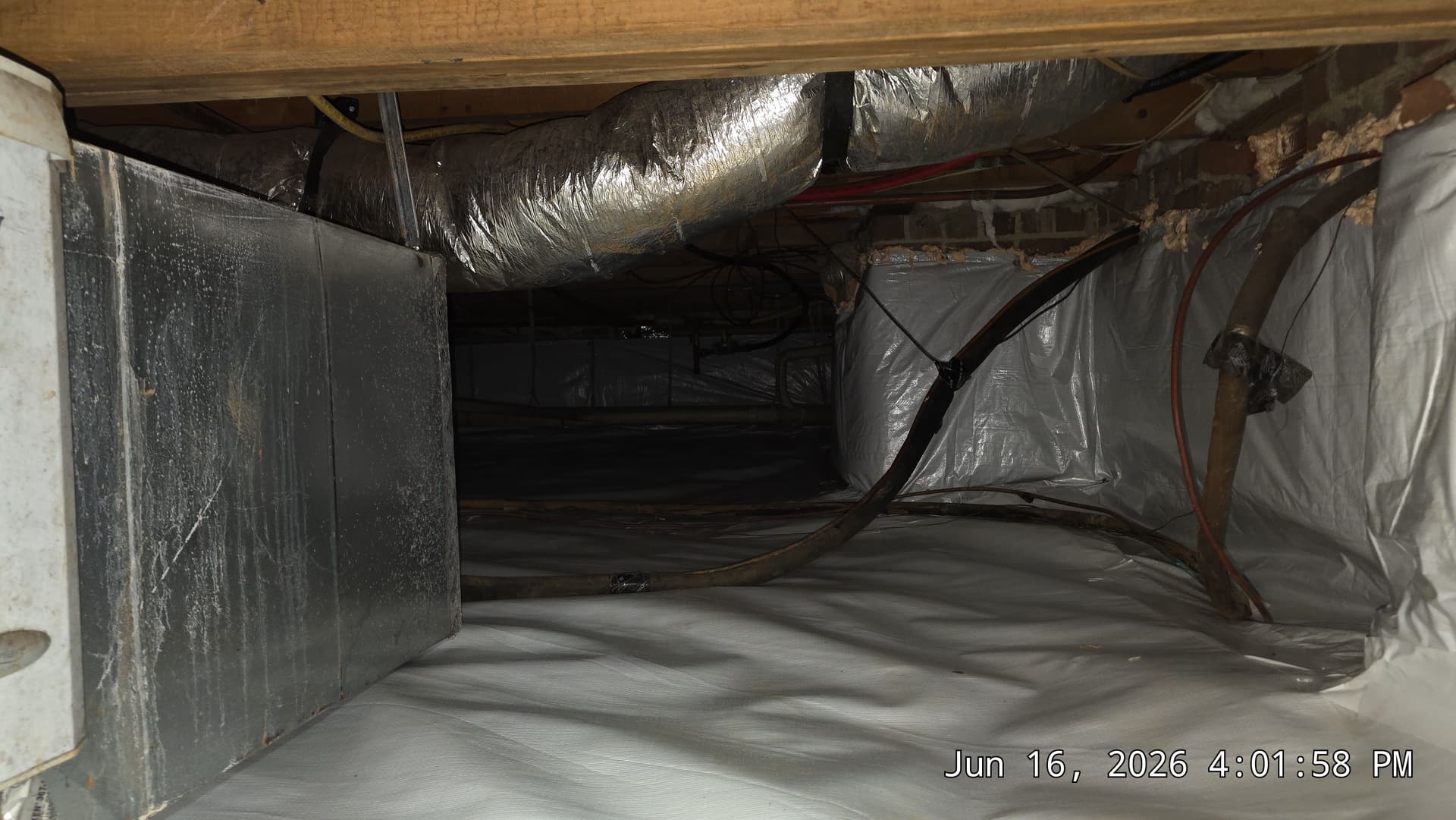 Gallery photos for Crawl Space Encapsulation with Fungus Removal in Raleigh: Image #3