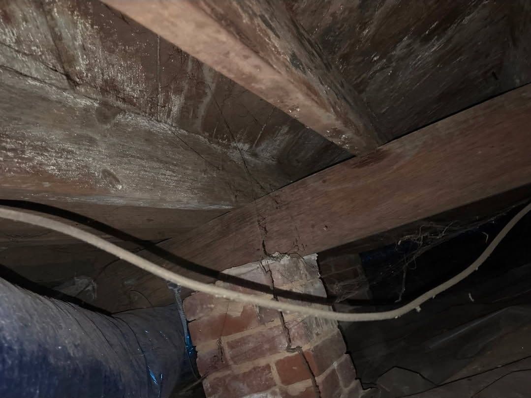 Transform Your Crawl Space into a Clean, Safe Haven image