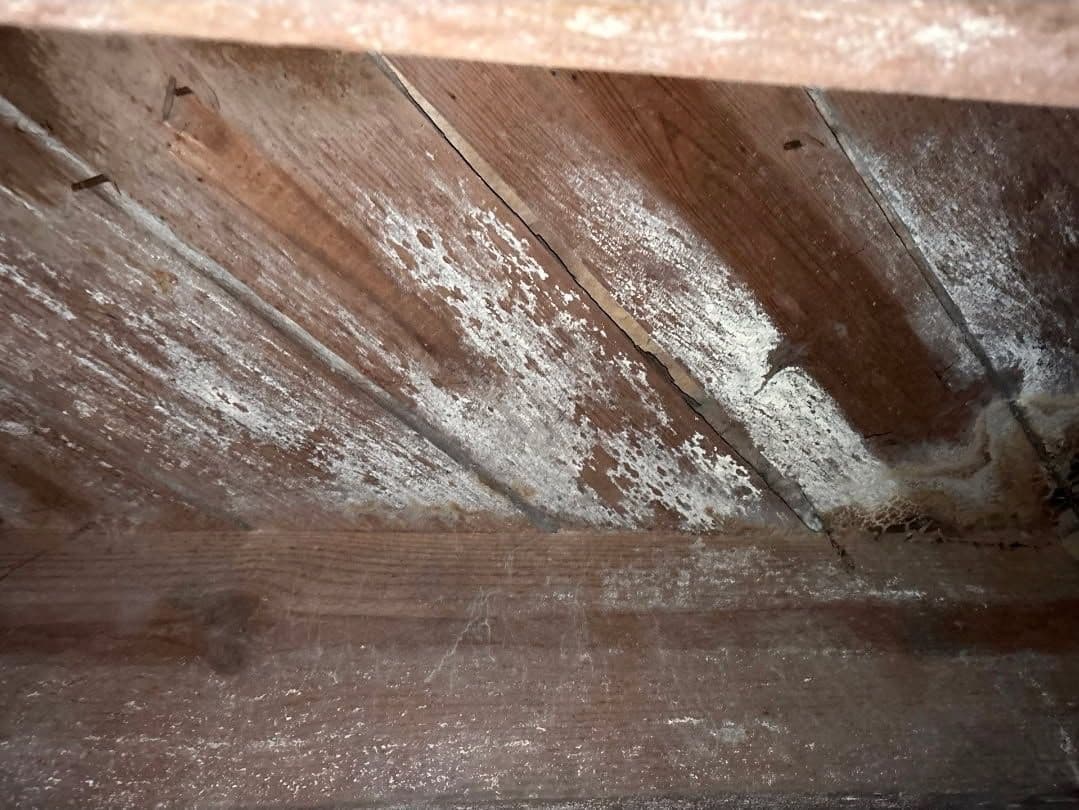 Gallery photos for Transform Your Crawl Space into a Clean, Safe Haven: Image #1