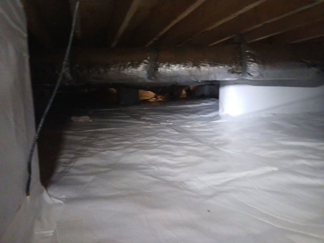 Project Crawlspace Makeover in New Hill NC image