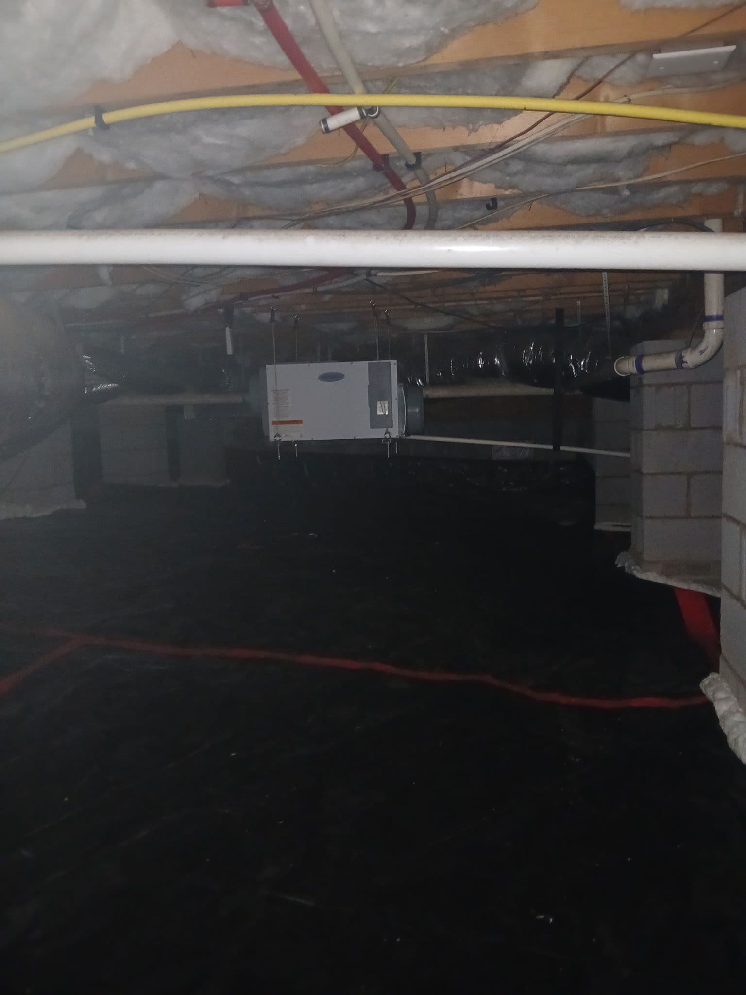 Raleigh Crawlspace Dehumidifier Installation Success
